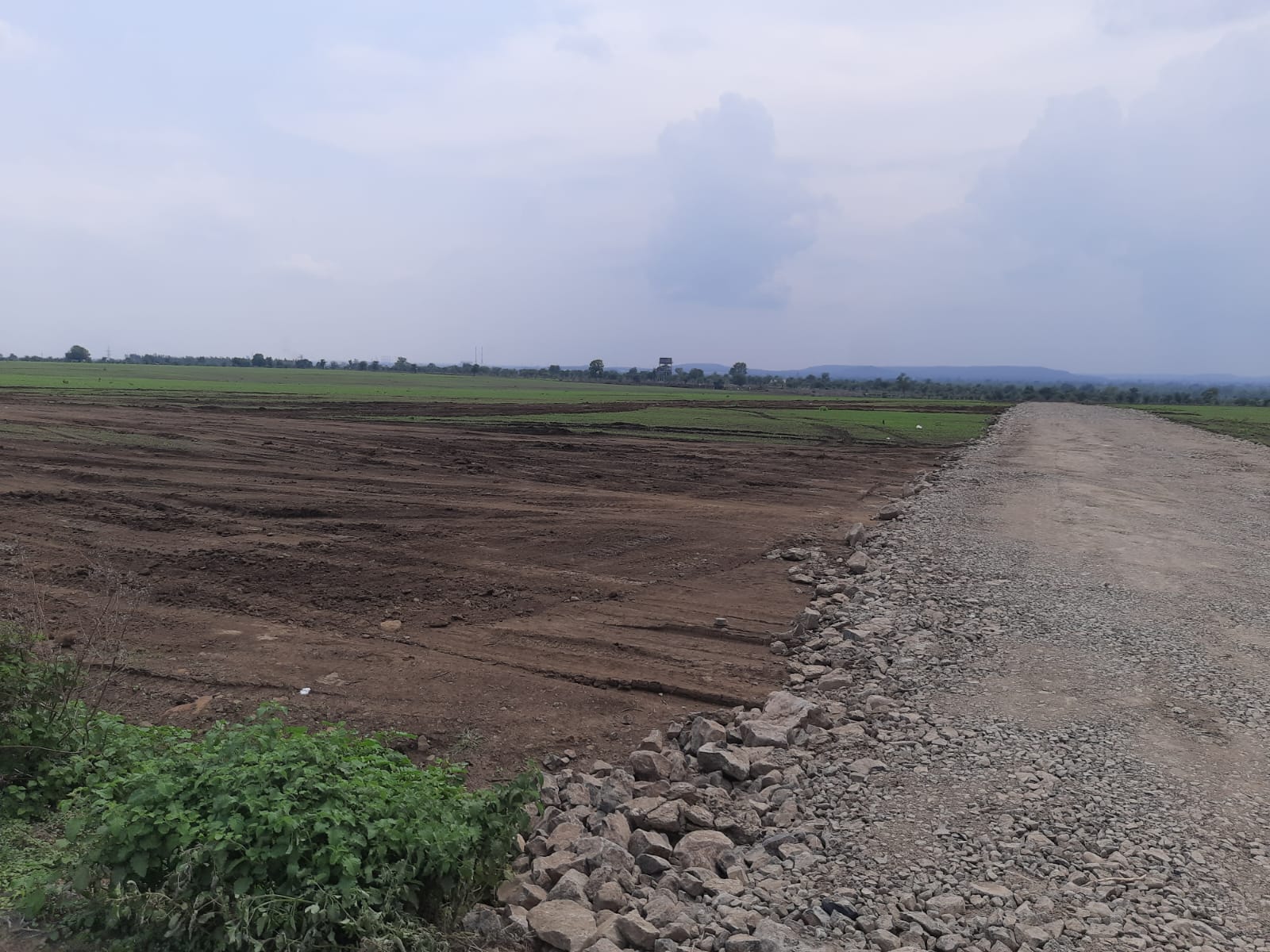  Plot For Resale in Wadi Nagpur 6587087