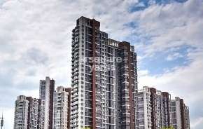 2 BHK Apartment For Rent in Ajmera Rosemary And Rosewood Kalyan West Thane 6588082