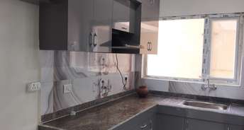 2 BHK Apartment For Resale in GLS Avenue 81 Sector 81 Gurgaon 6588636