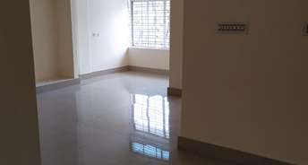 1 BHK Apartment For Rent in Sai Red Tree Square Beml Layout Bangalore 6374696