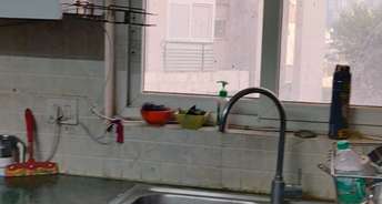3 BHK Apartment For Rent in Spaze Privy AT4 Sector 84 Gurgaon 6588862