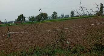 Commercial Industrial Plot 392000 Sq.Ft. For Resale In Nh 1 Ambala 6589000