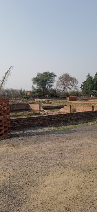 Plot For Resale in Purvanchal City Sultanpur Road Lucknow  6589254