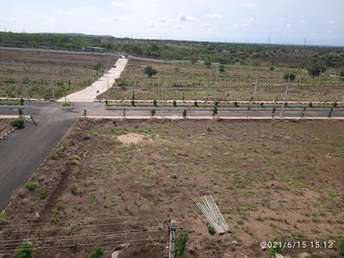 Commercial Land 200 Sq.Yd. For Resale in Shankarpalli Hyderabad  6590084