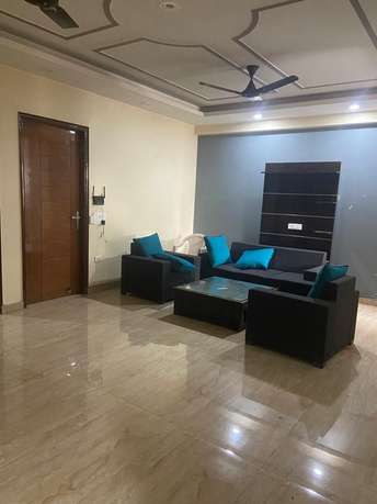 3 BHK Builder Floor For Rent in Sector 14 Gurgaon 6590179