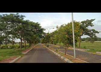 Plot For Resale in BBG Vian Valley Shahbaad Hyderabad  6590211