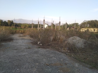 Plot For Resale in Bidholi Dehradun  6590279