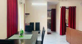 3 BHK Apartment For Rent in Empire Meadows Apartment Banjara Hills Hyderabad 6590284