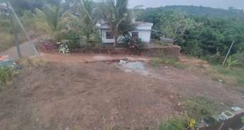  Plot For Resale in Thaliparamba Kannur 6590306