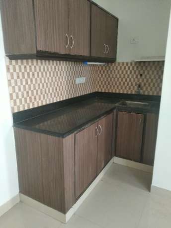 1 BHK Builder Floor For Rent in Koramangala Bangalore 6590378