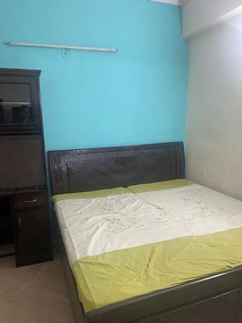 2 BHK Apartment For Rent in Indraprastha Apartments Delhi Ip Extension Delhi 6590499