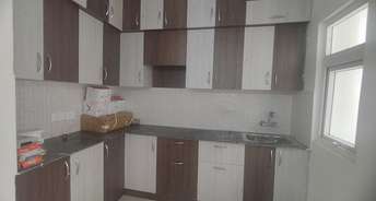 3 BHK Apartment For Rent in Newtech La Palacia Noida Ext Tech Zone 4 Greater Noida 6590635