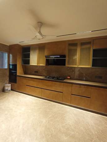 4 BHK Builder Floor For Rent in RWA Greater Kailash 2 Greater Kailash ii Delhi 6590682