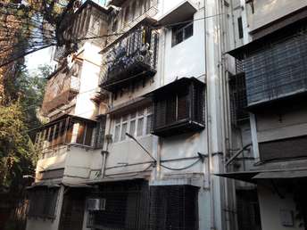 1 BHK Apartment For Rent in New Rajendra Apartment CHS Mahim Mumbai  6462397