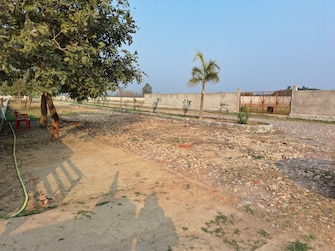 Plot For Resale in Bakhshi Ka Talab Lucknow  6591512