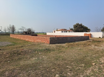 Plot For Resale in Bakhshi Ka Talab Lucknow  6591512