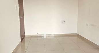 1 BHK Apartment For Rent in Nanded City Mangal Bhairav Nanded Pune 6591712