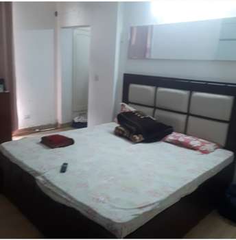 4 BHK Apartment For Rent in Sector 21c Faridabad 6592199