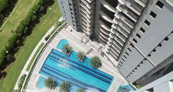 4 BHK Apartment For Resale in DLF The Belaire Sector 54 Gurgaon 6592192