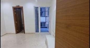 3 BHK Builder Floor For Resale in AE Block Shalimar Bagh RWA Shalimar Bagh Delhi 6592493