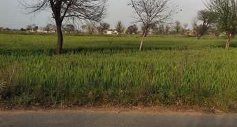 Commercial Land 11 Acre For Resale In Raghav Vatika Gurgaon 6592920