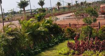  Plot For Resale in Nh 65 Hyderabad 6593132