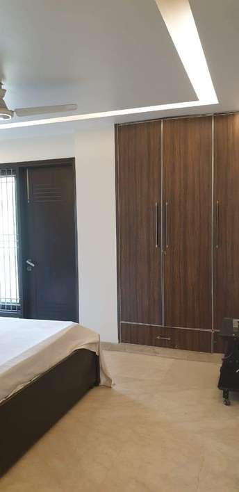 3 BHK Builder Floor For Rent in Safdarjung Enclave Safdarjang Enclave Delhi 6593271