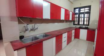 2 BHK Villa For Rent in Vibhuti Khand Lucknow 6593403