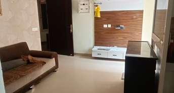 2 BHK Apartment For Rent in Antriksh Golf View Sector 78 Noida 6593577
