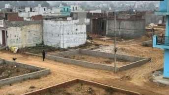  Plot For Resale in Sultanpur Gurgaon 6593757