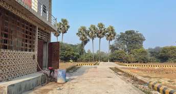  Plot For Resale in Banthra Sikander Pur Lucknow 6594147