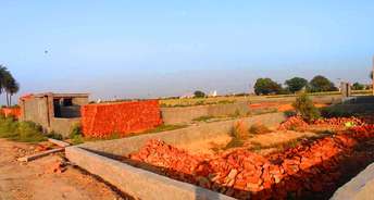  Plot For Resale in Sector 37 Greater Noida 6595700