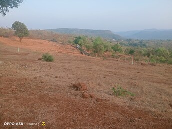 Plot For Resale in Mangaon Raigad  6595928