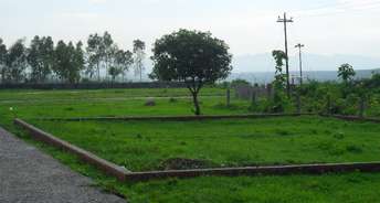  Plot For Resale in Sector 15 Gurgaon 6596592