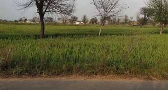 Commercial Land 12 Acre For Resale In Sohna Gurgaon 6596941