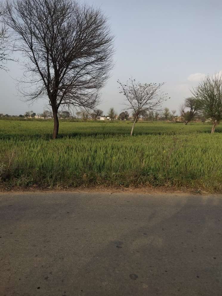 Commercial Land 12 Acre in Sohna Gurgaon