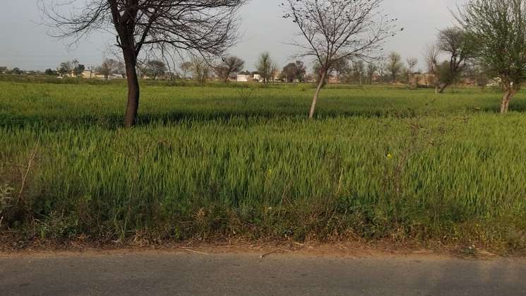 Commercial Land 12 Acre in Sohna Gurgaon