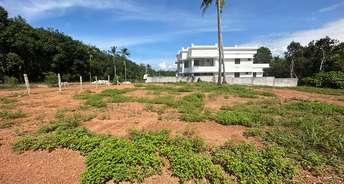  Plot For Resale in Pothencode Thiruvananthapuram 6597462