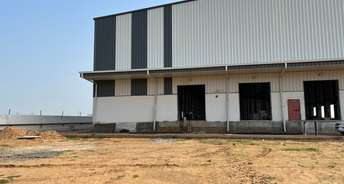 Commercial Warehouse 1200 Sq.Ft. For Resale In Sector 36 Gurgaon 6597527