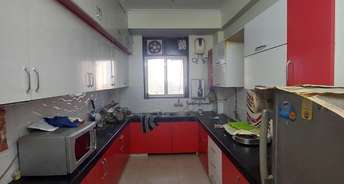 2 BHK Apartment For Rent in Basera Apartment Gurgaon Sector 56 Gurgaon 6597719