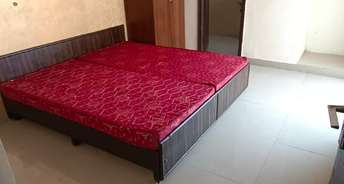 2 BHK Apartment For Rent in Amrapali Princely Estate Sector 76 Noida 6597852