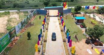  Plot For Resale in Alair Hyderabad 6598841