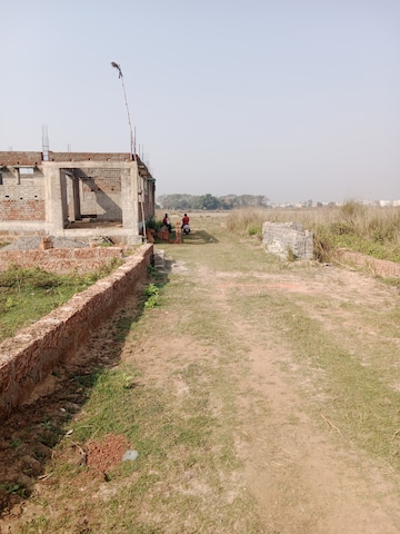 Plot For Resale in Hanspal Bhubaneswar  6598943