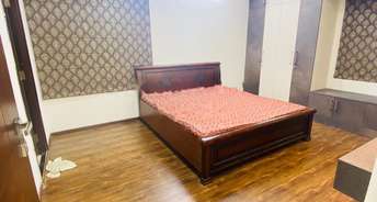 3 BHK Apartment For Rent in Green Grace Gachibowli Hyderabad 6598998