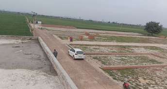  Plot For Resale in Sector 29 Faridabad 6599180