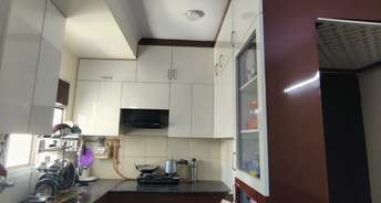 2 BHK Apartment For Rent in Panchsheel Hynish Noida Ext Sector 1 Greater Noida 6599817