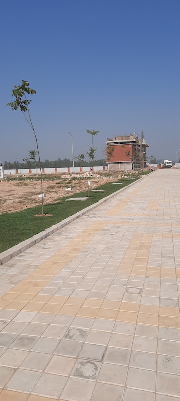 Plot For Resale in Raipur Rani Panchkula  6600062