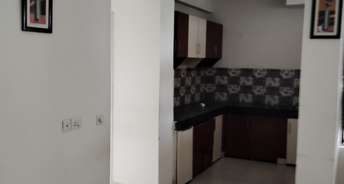 2 BHK Apartment For Rent in Signature Global Synera Sector 81 Gurgaon 6600087