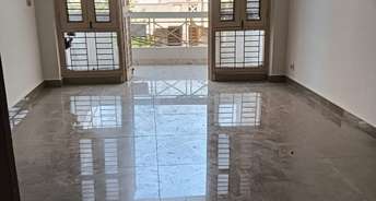 2 BHK Builder Floor For Rent in South City Arcade Sector 41 Gurgaon 6600102
