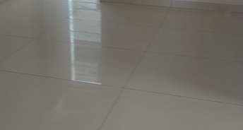 3 BHK Builder Floor For Rent in Laxman Vihar Gurgaon 6600193